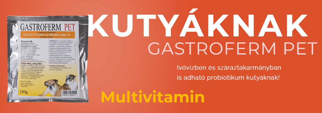 Gastroferm Pet Kutya Probiotikum Por Multivitamin Gyógyszer Kúra Mellé Hányás Hasmenésre Emésztésért