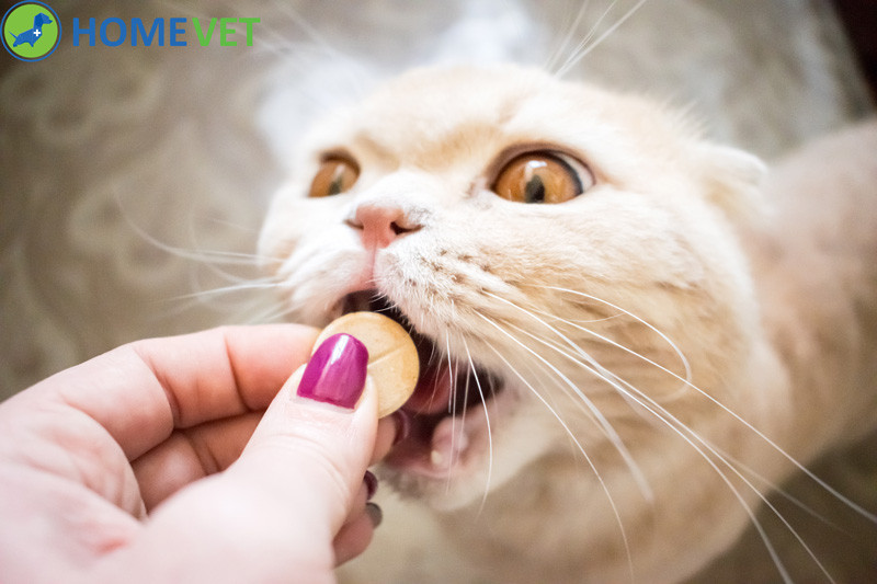 Homevet Ízesített tabletta macska gyógyszer finom rágótabletta