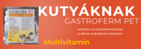 Gastroferm Pet Kutya Probiotikum Por Multivitamin Gyógyszer Kúra Mellé Hányás Hasmenésre Emésztésért