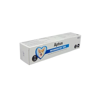 Aptus Recobooster Dog 100 g - Energiapaszta 