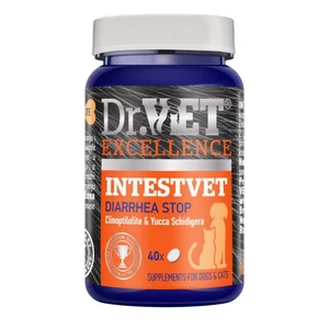 Dr.Vet Intestvet - Emésztés támogatása kutya és macska részére