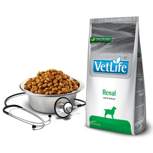 VetLife Dog Renal - Vesetámogató száraztáp kutyáknak