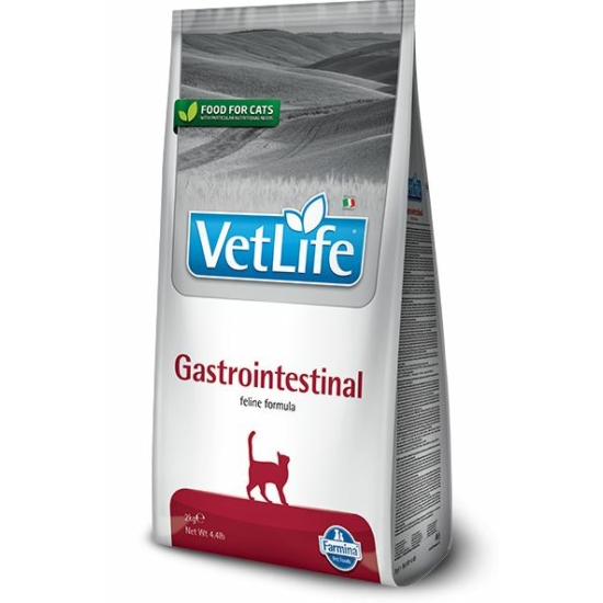 VetLife Cat Gastrointestinal száraztáp