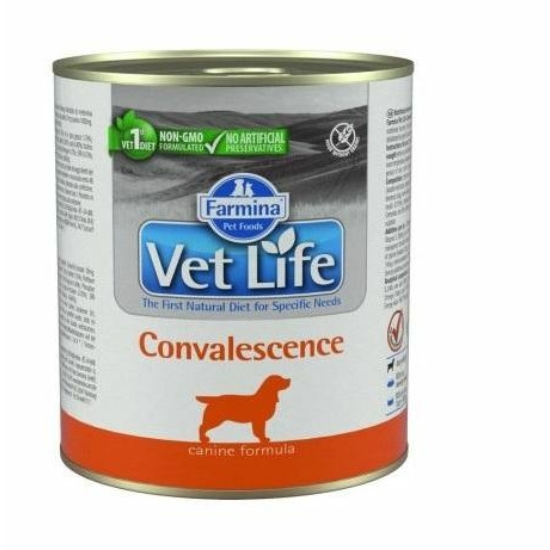 VetLife Dog Convalescence konzerv lábadozás idejére 300g