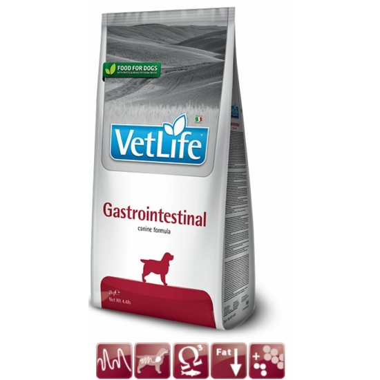 VetLife Dog GastroIntestinal száraztáp