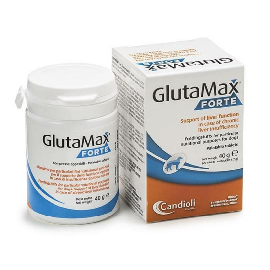 Glutamax Forte tabletta 40 g 20x