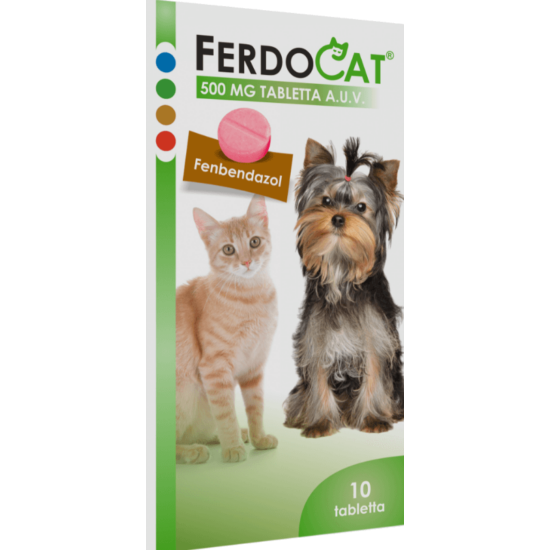 Ferdocat tabletta 500 mg 10x