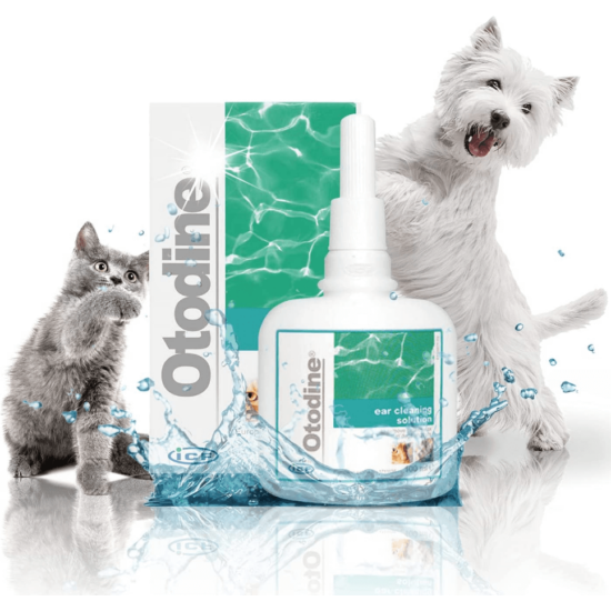 Otodine fültisztító oldat kutyáknak és macskáknak