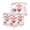 Royal Canin Kitten Multipack alutasak kölyök macskáknak 4x85 g