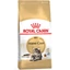 Royal Canin Maine Coon Adult száraz macskatáp 400 g