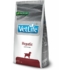 VetLife Dog Hepatic - májtámogató száraztáp 2kg