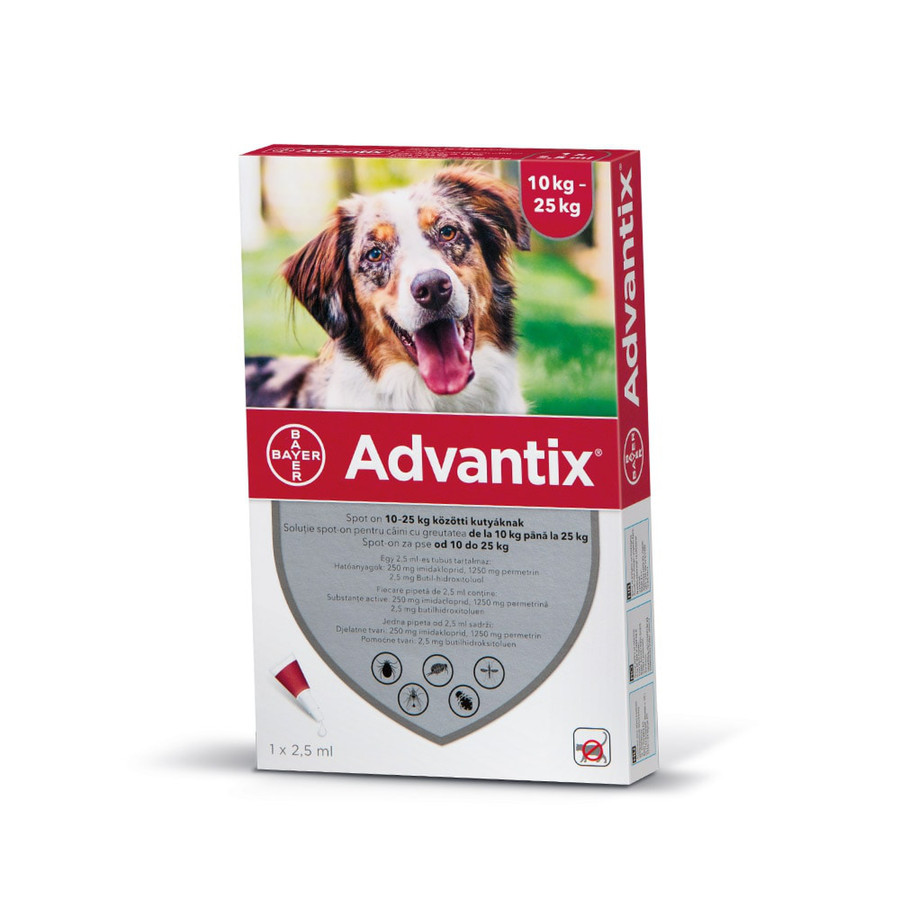 Advantix spot on rácsepegtető oldat kutyáknak 10-25kg között 1db