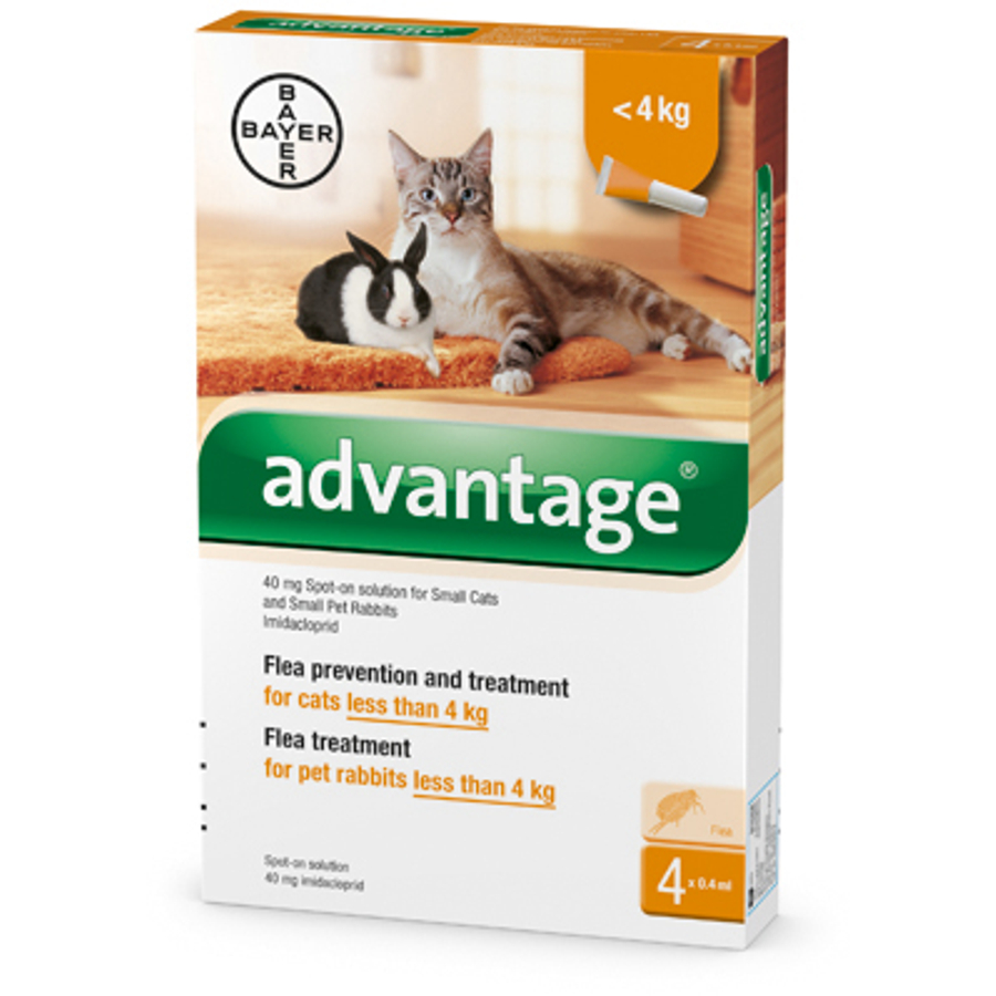 Advantage Spot On macskáknak 4kg alatt 4X