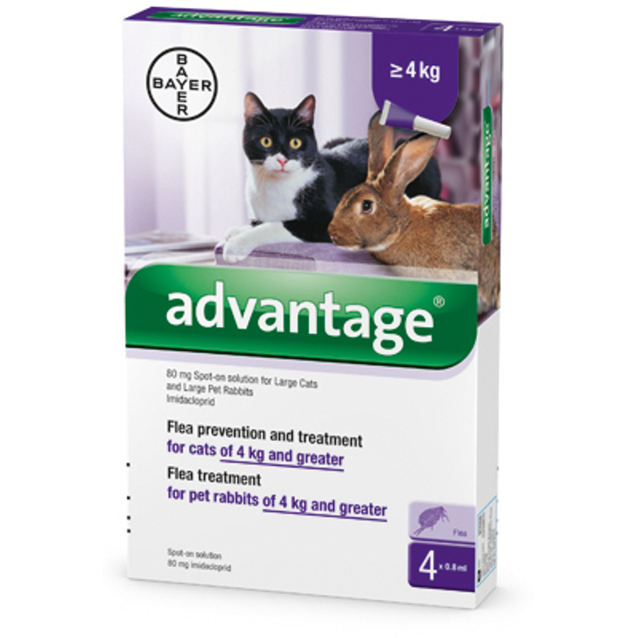 Advantage Spot On macskáknak 4kg felett 4X