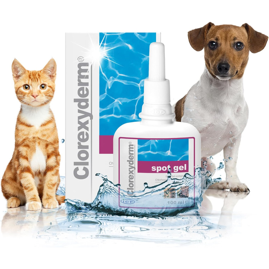 Clorexyderm spot gel 100 ml