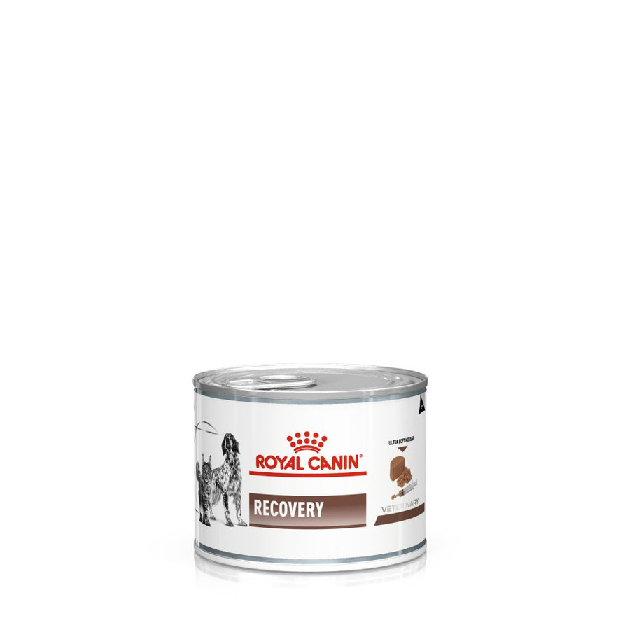 Royal Canin Recovery Mousse Tápfolyadék Kutya Macska 195 g