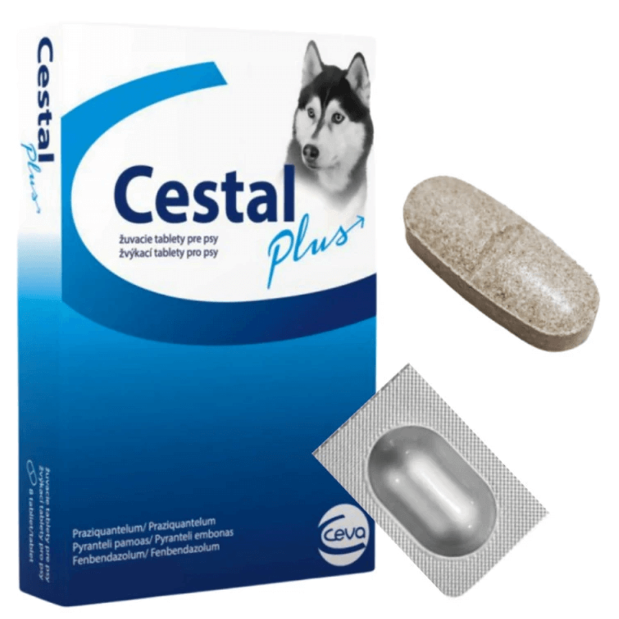 Cestal Plus rágótabletta 1x