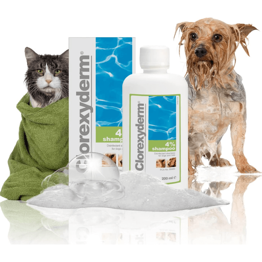 Clorexyderm 4% fertőtlenítő Sampon kutya macska 250 ml Clorexyderm 4% fertőtlenítő Sampon kutya macska 250 ml