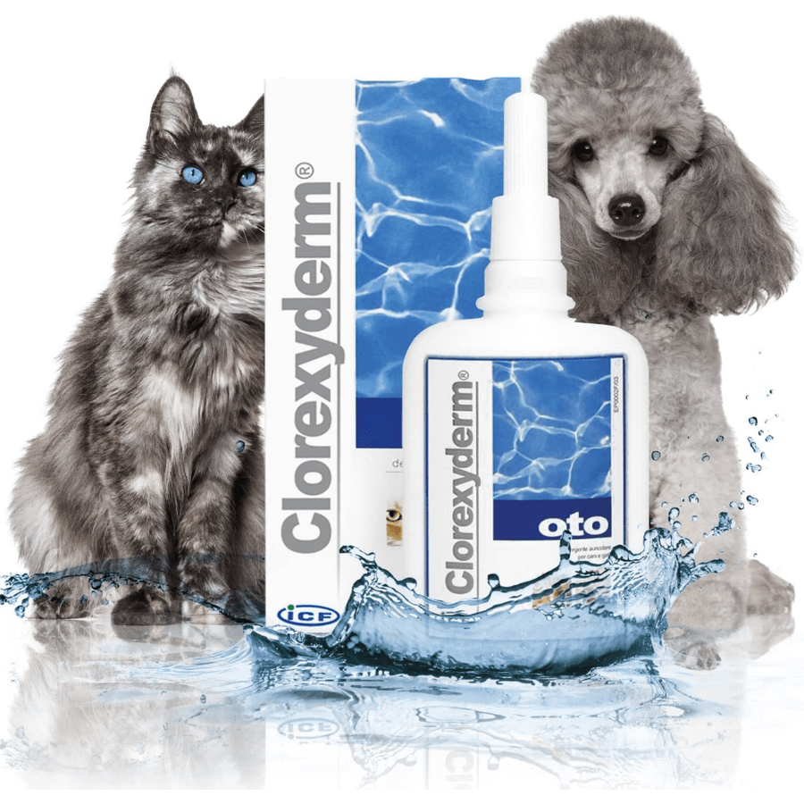 Clorexyderm Oto fültisztító 150 ml Clorexyderm Oto fültisztító 150 ml