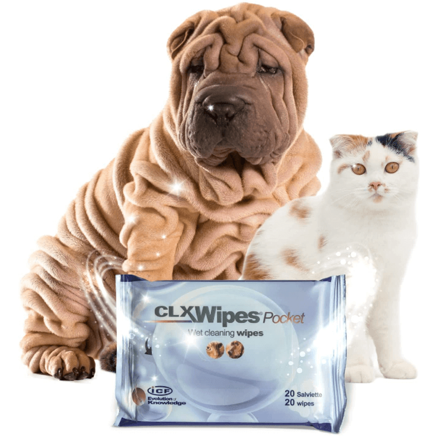 CLX Wipes Nedves Fertőtlenítő Törlőkendő 20 db 19x12 cm