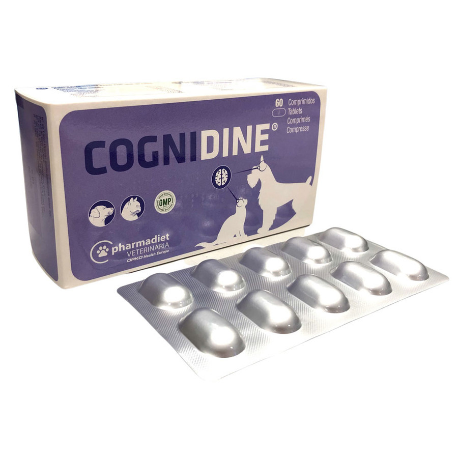 Cognidine 60x Cognidine 60x