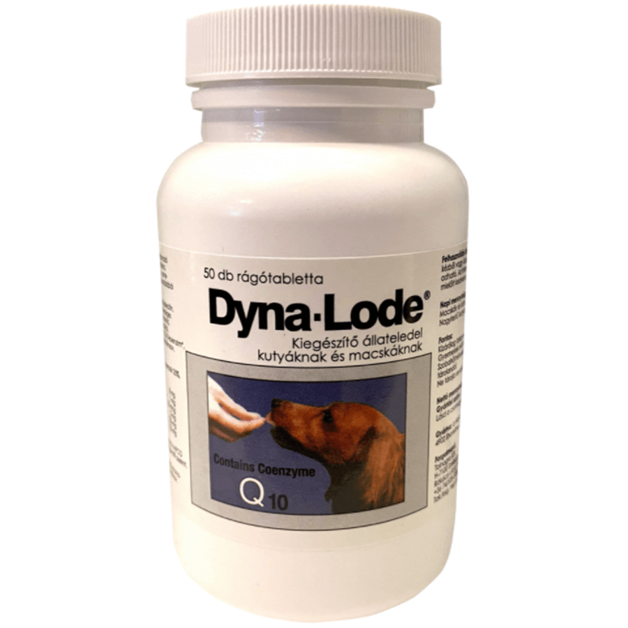 Dyna-Lode rágótabletta 50 db Dyna-Lode rágótabletta 50 db