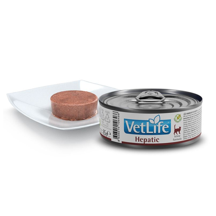 VetLife Cat Hepatic konzerv - Májbeteg Macskának 85 g