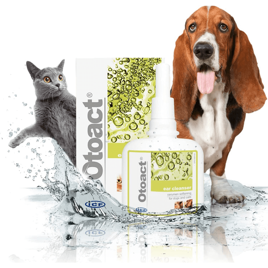 Otoact fültisztító kutyáknak és macskáknak 100 ml Otoact fültisztító kutyáknak és macskáknak 100 ml