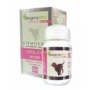 Kép 1/1 - BiogenicPet - Vitality Small tabletta Kistestű Kutyáknak 60 x