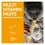 Kép 2/2 - GimCat Multi-vitamin Professional paszta