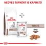 Kép 6/7 - Royal Canin Hepatic száraztáp Májbeteg Kutyának