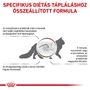 Kép 4/7 - Royal Canin Veterinary Gastrointestinal száraz macskatáp