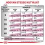 Kép 4/5 - Royal Canin Renal Vesetámogató kutya konzerv