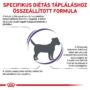 Kép 2/6 - Royal Canin Veterinary Canin Calm száraztáp kutyáknak stresszre 4kg