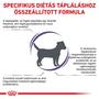 Kép 2/6 - Royal Canin Dental Small Dog Szájhigiéniás száraztáp Kistestű Kutyának 1,5 kg